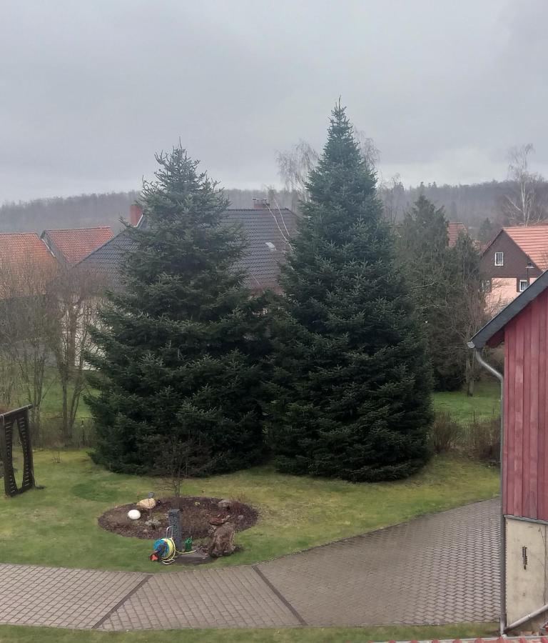 Harzer Bauernhof Lejlighed Thale Værelse billede